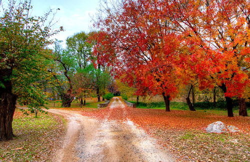 Autumn in the country, leading down a path that takes two courses